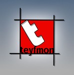 Empresa TEYFMON